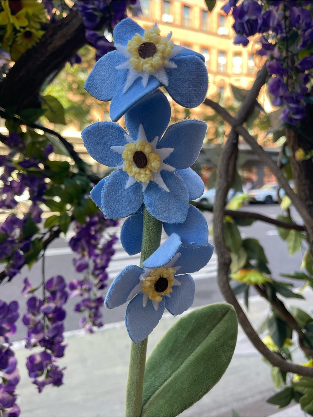 1 CJ Hendry Flower Shop NY blue Forget-Me-Not daily drop bloom